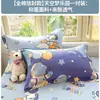 Funda de almohada 100% algodón, nuevo estilo 2026, algodón puro, juego de dos, funda de almohada estampada para todas las estaciones, 48 cm x 74 cm, funda interior para núcleo de almohada