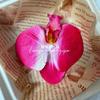Flor artificial Phalaenopsis flor 3D de película cabeza de flor estilo ramillete regalo de mano LV Fu regalo DIY caja de regalo decoración de boda