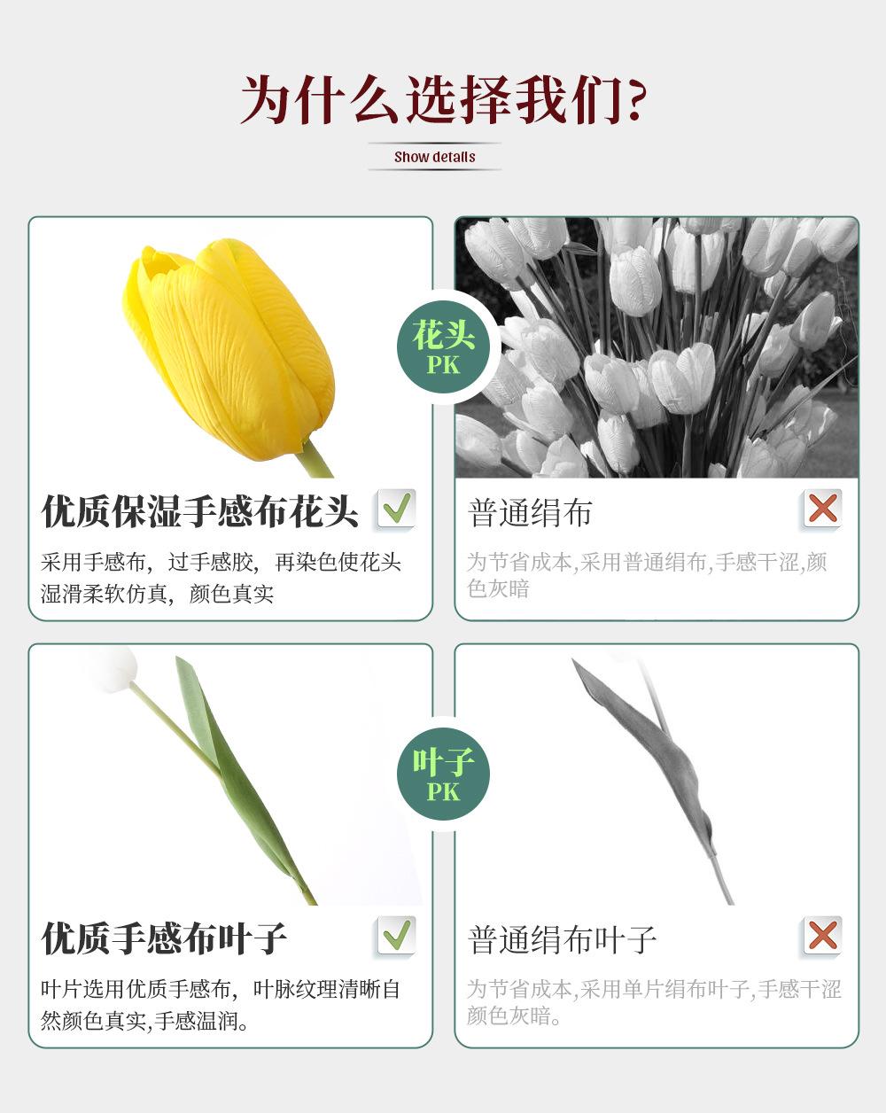 136.单枝拉菲郁金香_05.jpg