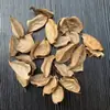 30 Pinhas, Pinhas Bonitas, Decoração de Jardim de Infância, Joias Criativas Feitas à Mão, Pintura de Pinhas, Torre de Pinhas DIY Pinha