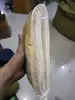 Algodón Absorbente de Aceite Engrosado Mejorado, A Prueba de Aceite, Papel Absorbente de Aceite No Permeable, Depósito de Aceite para Campana Extractora, Sin Limpieza, A Prueba de Aceite para el Hogar
