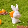 Rabbit Paradise Micro Paisagem Ornamentos bonitos dos desenhos animados Animais cenoura Coelho Casa de jardinagem Acessórios de resina Artesanato