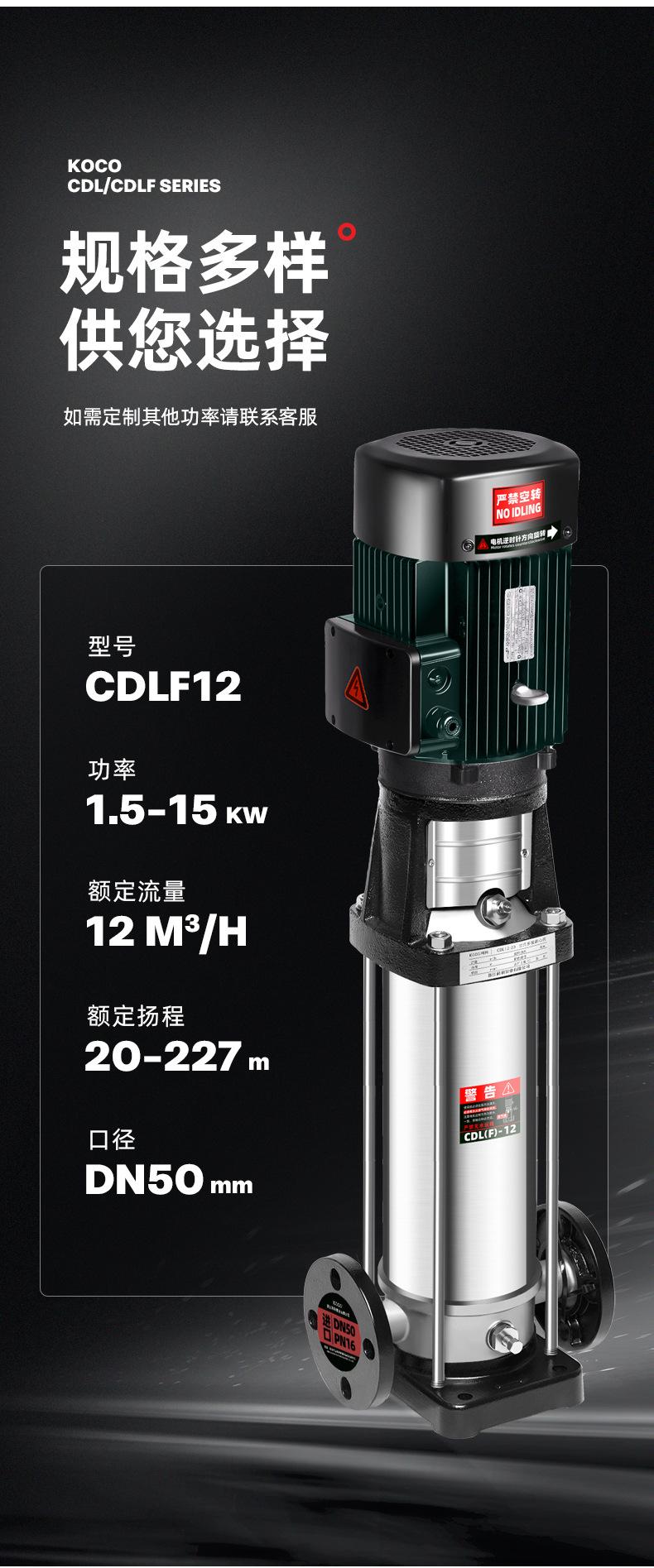 CDLF12_05.jpg