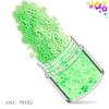 Lantejoulas Flor de Ameixa Fluorescentes 12 Cores Misturadas Conjunto de Lantejoulas para Nail Art Lantejoulas Foscas para Nail Art Acessórios de Unha Adesivos para Unhas