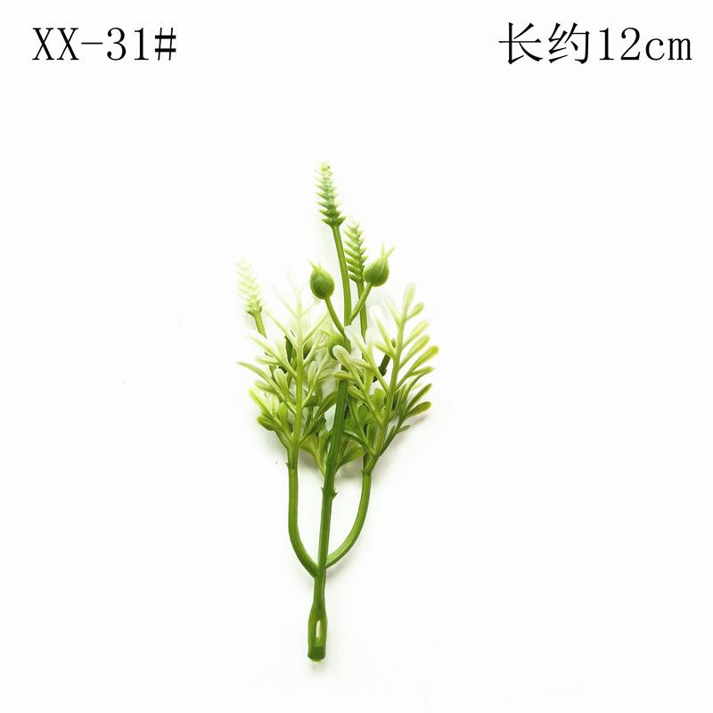 XX-31#】.jpeg