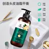 Zhenshy Champú de Jengibre Champú Hidratante Crema de Champú Rey Jengibre Viejo Cabello Anticaspa Control de Grasa Fabricante de Champú de Jengibre Venta al por Mayor