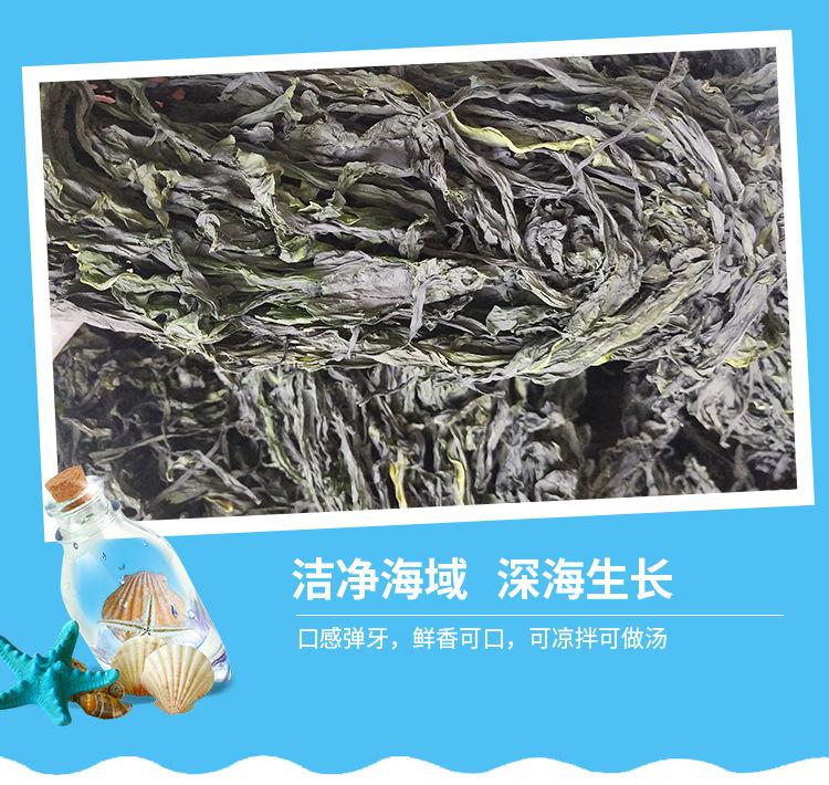 长条裙带菜_08.jpg