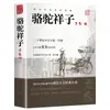 Flores de la Mañana, Grito de la Tarde, Obras Originales Auténticas de Lu Xun, Camello Xiangzi, Libros Auténticos de las Obras Completas de Shenchongwen