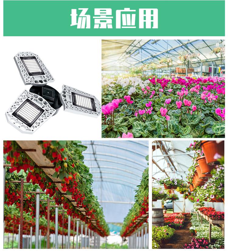 变形金刚-A款-自然白--蓝白（阿里巴巴）详情页_12.jp