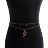 Joyería Transfronteriza Europea y Americana Verano Simple Playa Doble Capa Cadena de Cuentas Cadena de Cintura con Forma de Serpiente Sexy Chica Caliente Cinturón de Bikini