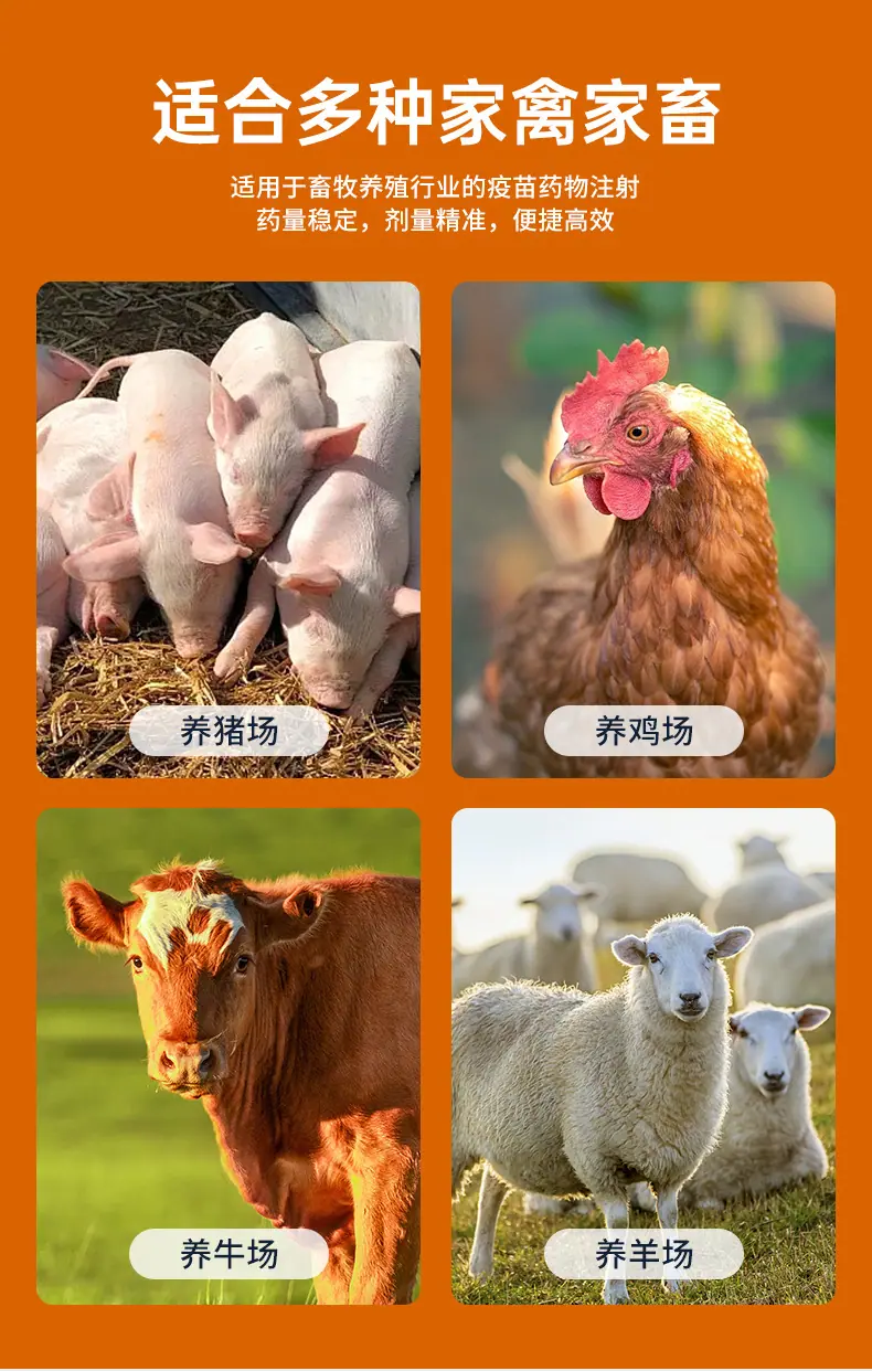 详情_03.jpg