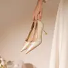 Sapatos de Salto Alto Cor Champagne Estilo Novo 2025 para Mulheres, Modernos e Versáteis, Adequados para Usar Fora, com Saltos Finos, Combinam com Saias, Sapatos Elegantes e Delicados para Mulheres