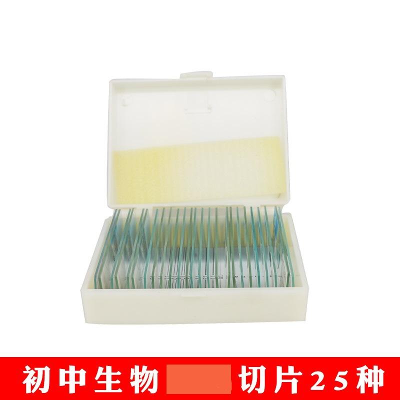 25种切片