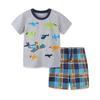 Estilo Europeu e Americano Traje de Verão Infantil para Crianças Conjunto de Duas Peças com Bordado Estampado com Desenhos e Amostras Processamento e Customização OEM