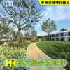 Proveedores de Fabricantes de Guangdong Suministran Grava Resistente al Desgaste para Carreteras de Paisajismo, Pisos Artísticos, Pisos de Grava de Polímero y Materiales para Pavimentación