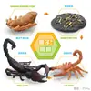 Juguete modelo de animal pequeño simulación ciclo de vida crecimiento rana tortuga pollo Montessori material didáctico preescolar venta al por mayor