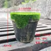 Vaso de Flor de Flocagem Verde Espuma para Arranjo de Flores Vaso de Flor de Plástico Simples para Mesa DIY Manualidades Estudantis Vaso de Flor Criativo