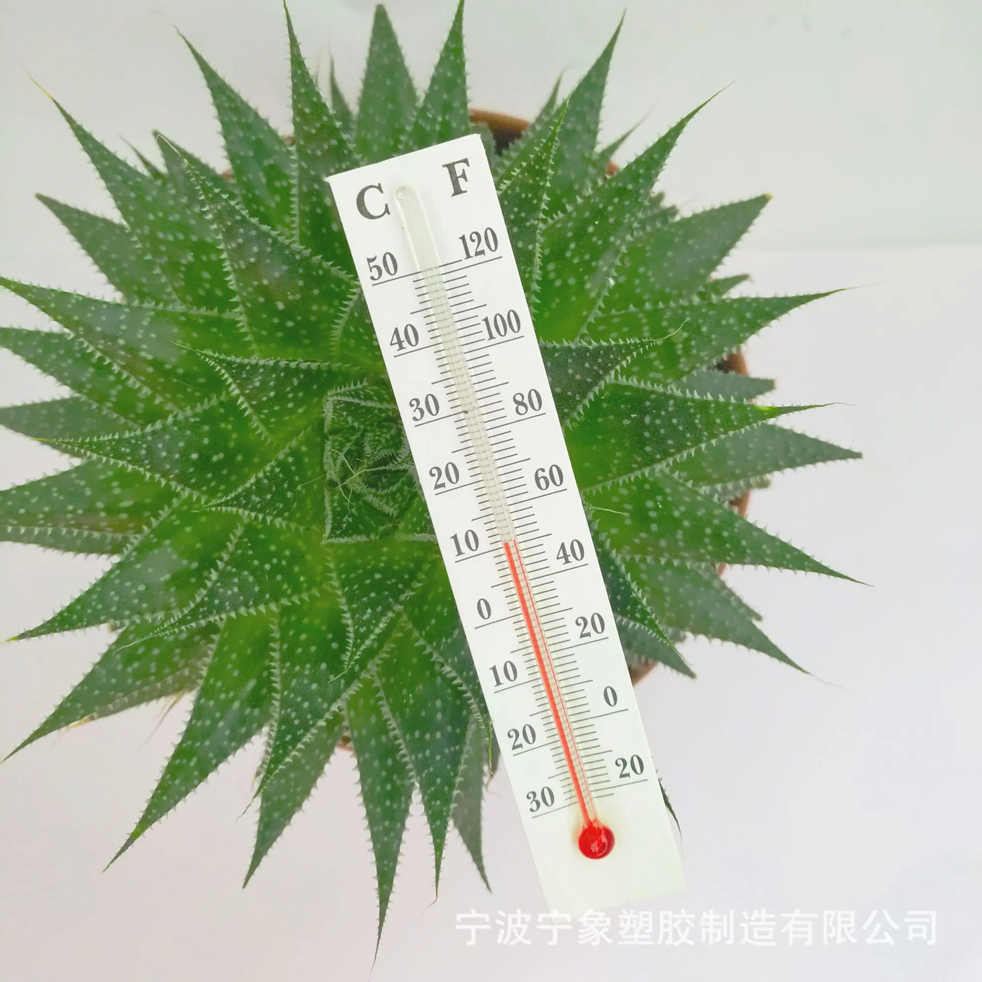 纸板12.8