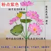 Flores de loto artificiales, loto biónico, hojas y vainas de loto falsas para decoración en la sala de estar, flores de tela de seda para ofrecer a Buda, flores decorativas