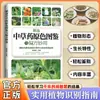 Guía Ilustrada Seleccionada de Hierbas Chinas Tradicionales y sus Usos Innovadores