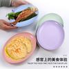Fuente Transfronteriza Disco Ovalado de Paja de Trigo Plato Creativo de Color Nórdico Vajilla para el Hogar y Restaurante de Estilo Japonés Nuevo