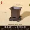 Vaso de flor de areia roxa imitação vaso para suculenta cacto bola Tianzhu do sul vaso especial para bonsai alto valor de cor vaso de resina atacado