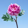 Galho Curto Cabeça Única Peônia de Fada Flor Artificial Flor Falsa Flor de Seda Decoração de Casamento Interior Casa Estúdio Conjunto Fotografia