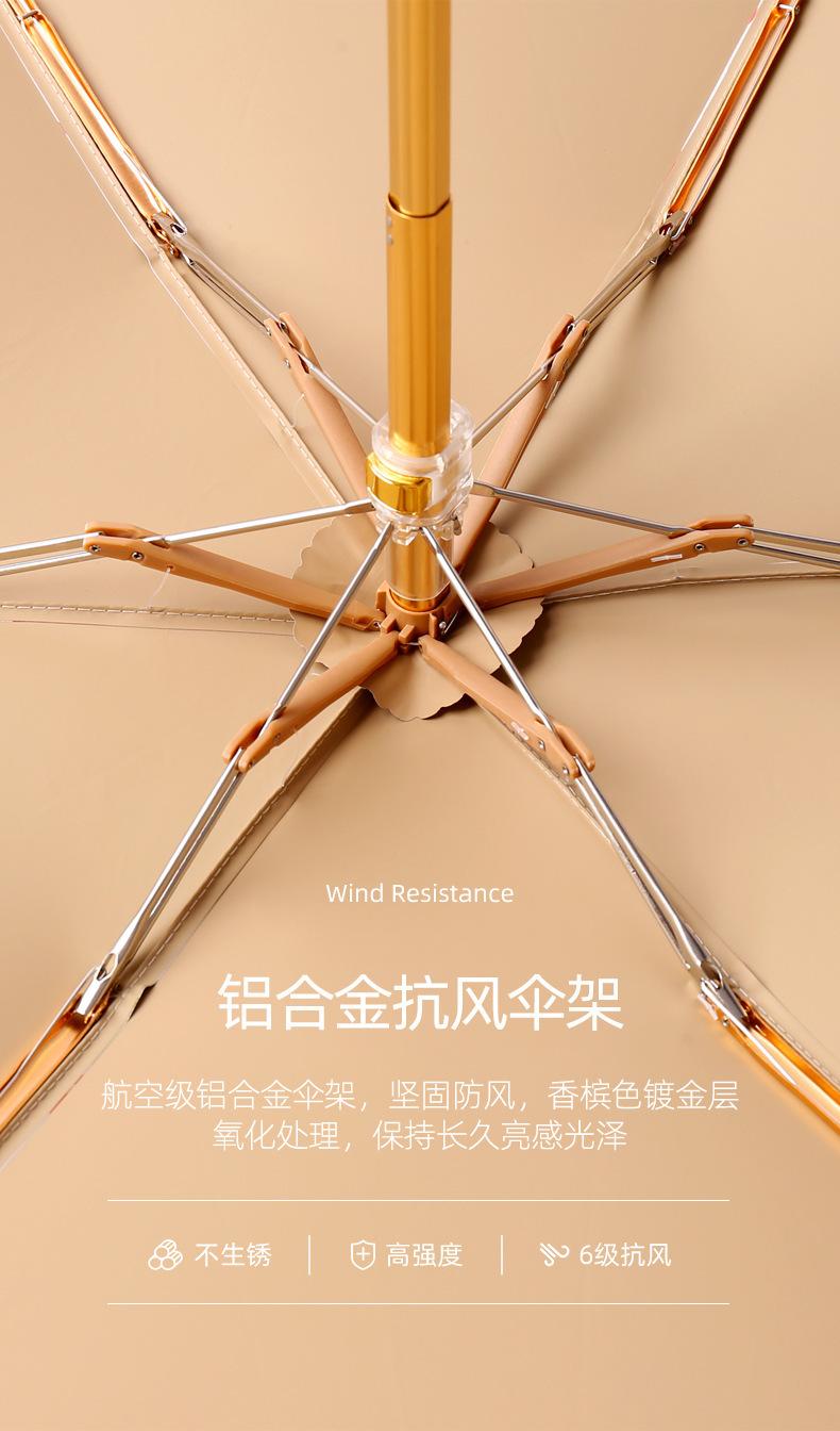 小扁伞_10