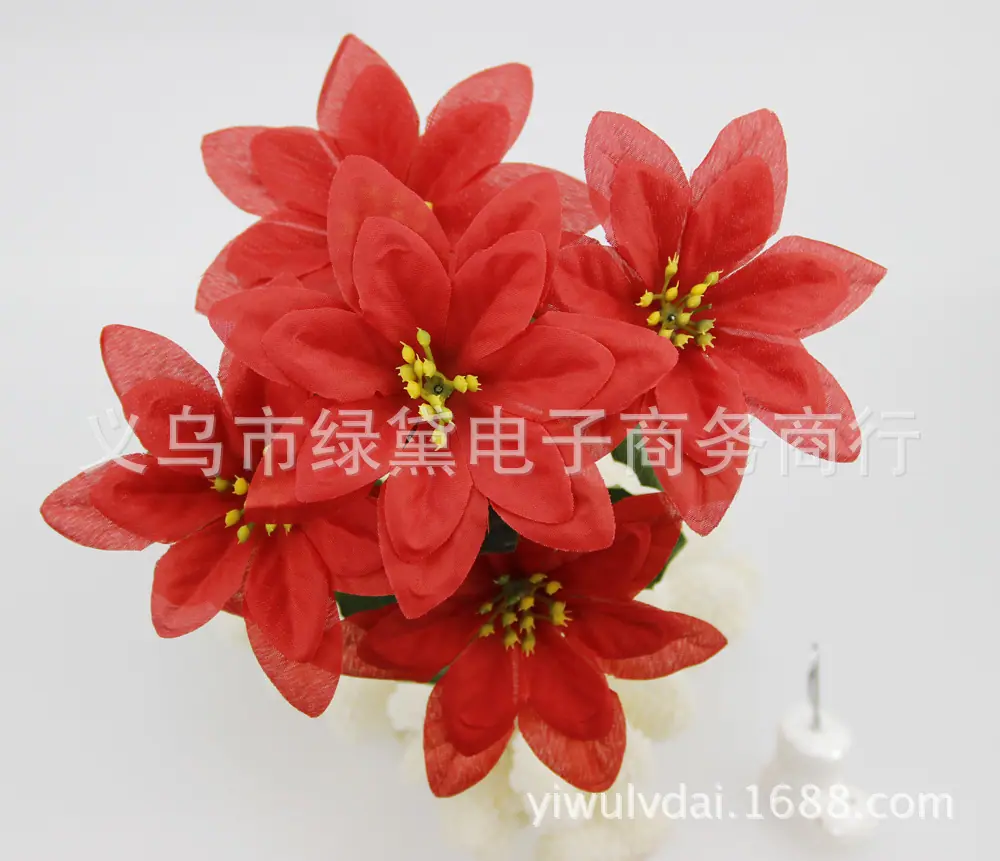 圣诞花