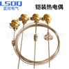 Termopar blindado tipo Wrnk-131K Resistencia térmica tipo K Sonda tipo 0-1300 grados Alta precisión Resistente a altas temperaturas