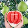 Mudas de pomelo, coração vermelho, polpa vermelha, árvores frutíferas enxertadas com pomelo mel, mudas de frutas plantadas no sul e no norte, três frutos de pomelo mel vermelho no mesmo ano