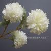 Suministro directo de fábrica bola de flor de simulación crisantemo 3 flores artificiales adornos de decoración de boda cabeza de flor de champán ramo del Día Nacional flores de seda