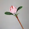 Flor de Emperador Artificial, arreglo floral decorativo de alta gama aterciopelado, arreglo floral de paisaje en miniatura, materiales florales para decoración del hogar, flores artificiales