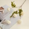 Accesorios de fotografía individual de simulación que contienen Yang, simulación de boda de otoño, ping-pong, crisantemo, flor artificial al por mayor, simulación de 5 dientes de león