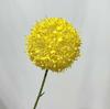 Cebolinha Artificial em Bolas Atacado para Decoração de Fundo de Salão de Casamento Flores Artificiais Cebolinha Artificial em Bolas
