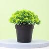 Decoración Decorativa de Escritorio para Estantería de Casa Interior Flor Artificial Falsa Planta en Maceta Mini Planta Verde Artificial Adornos de Bonsái