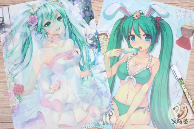 初音文件夹