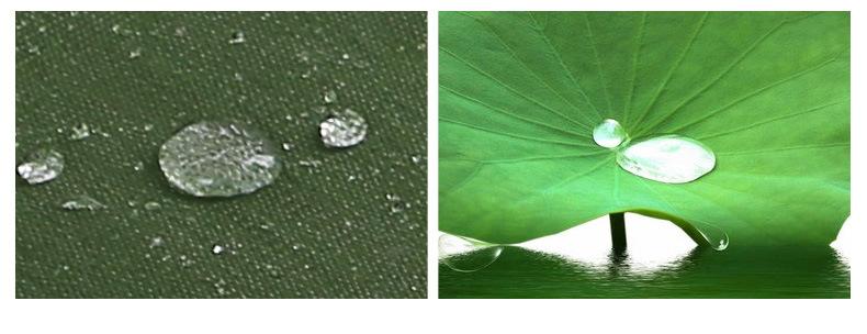 3单面涂塑帆布篷布_07