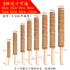 Poste Trepador de Fibra de Coco Columna de Soporte para Plantas Verdes con Estaca Puntiaguda Atractora de Raíces de Fibra de Coco, Soporte para Dar Forma a Monstera, Suministros para Floristería