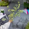 Ramo de Espuma de Lavanda Artificial de 7 Ramas para Boda y Decoración del Hogar, Follaje Artificial de Plástico para Proyectos, Flores Transfronterizas