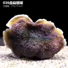 Galhos de Coral Árvore de Ferro do Mar Peixes Vermelhos Pretos Decoração de Aquário Paisagismo Ornamentos Subaquáticos