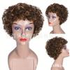 Peruca Amazon Nova Peruca Feminina Cabelo Natural Curto e Encaracolado