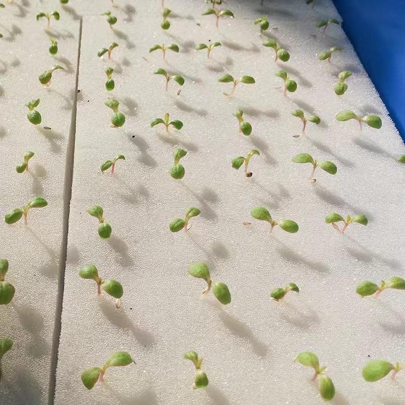 微信图片_20220507213928