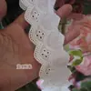 Tela de Algodón Puro con Adorno de Encaje Floral Calado Bordado, Material para Ropa, Accesorios Decorativos para Correa de Hombro y Cinturón DIY