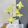 Flores Artificiais Íris Alice Orquídea Cauda de Andorinha Flores Artificiais Realistas de Alta Qualidade Arranjo para Casa Casamento Arranjo de Flores Decoração