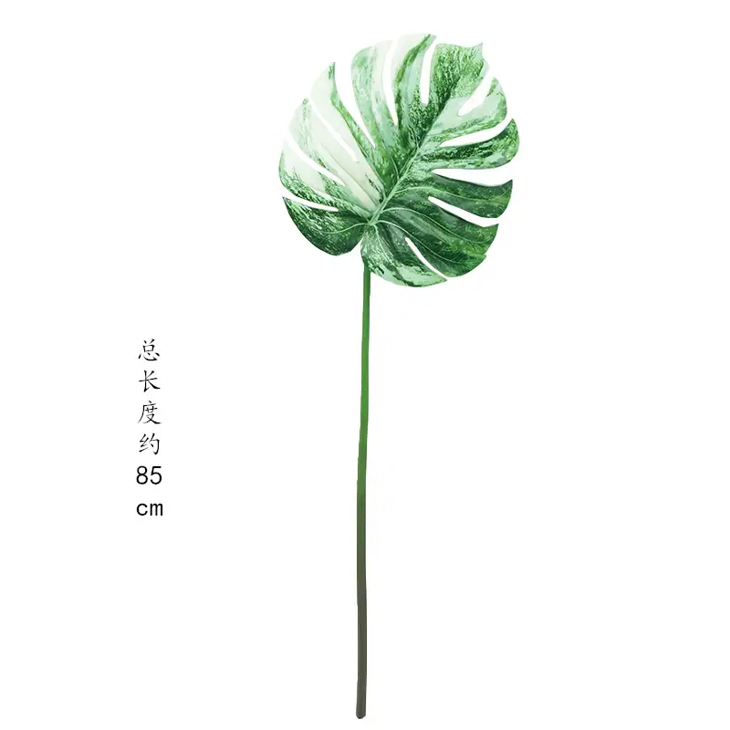 主图4_副本