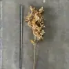 Flores Artificiais, Folhas de Leque Douradas, Eucalipto, Flores Plásticas Rose Gold, Flores para Decoração de Balde de Bênçãos para Casamento e Ano Novo