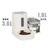 Comedero Automático para Mascotas, Bebedero, Recipiente para Gatos Todo en Uno para Agua y Comida, Dispensador de Agua, Recipiente de Acero Inoxidable Dos en Uno para Alimentación de Mascotas