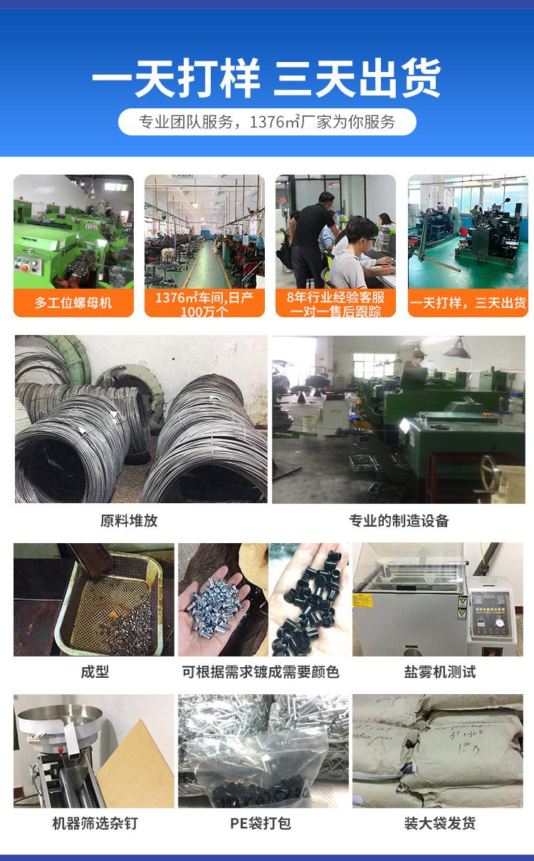 扁圆头铆钉_07.jpg