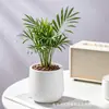 Rotulagem e entrega transfronteiriça de vasos de flores de mesa pequenos, vasos de flores de plástico cerâmico com imitação da superfície da lua criativos, vasos de flores artificiais